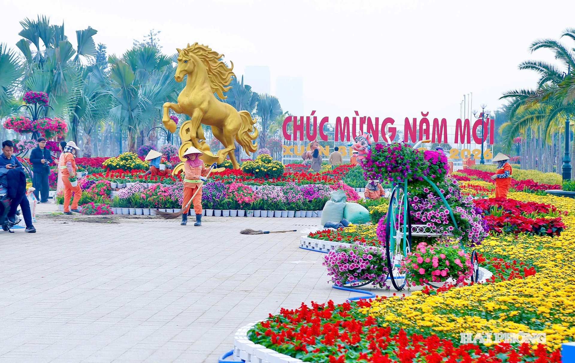 trang-tri7.jpg