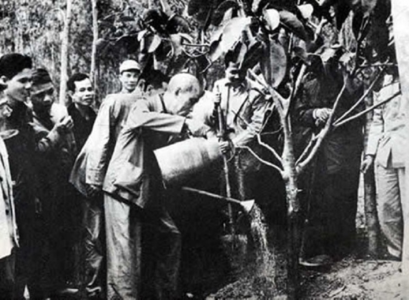 bac-ho-trong-cay(1).jpg