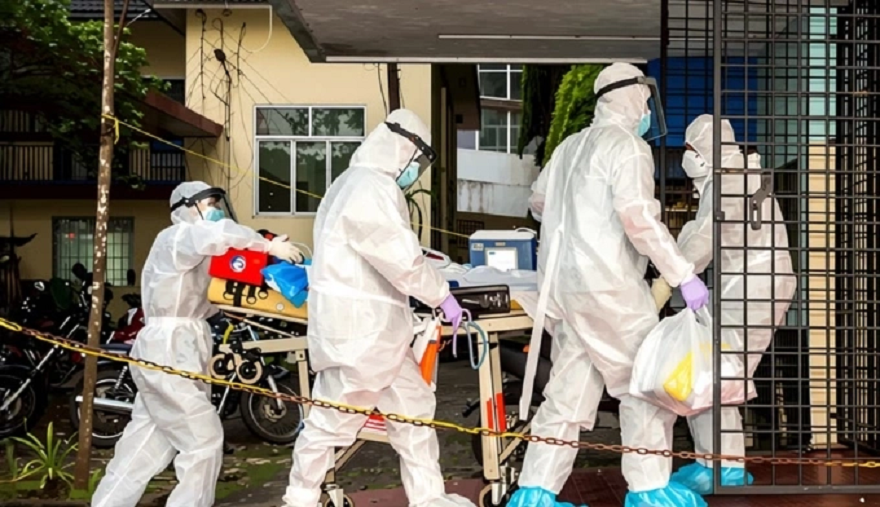 virus-nipah.png