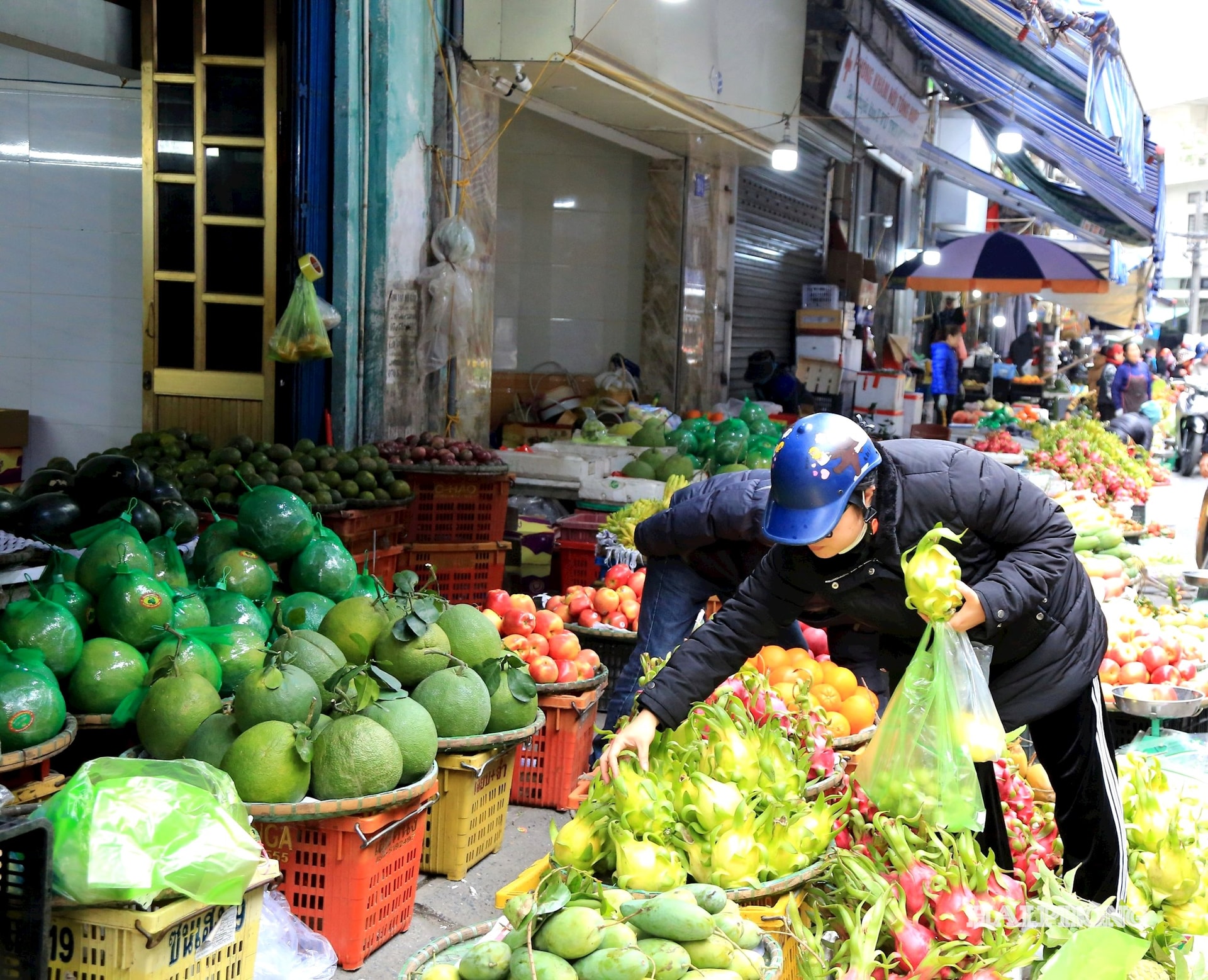 انواع میوه‌ها، چه وارداتی و چه داخلی که در ویتنام کشت می‌شوند، خیلی سریع تمام می‌شوند.