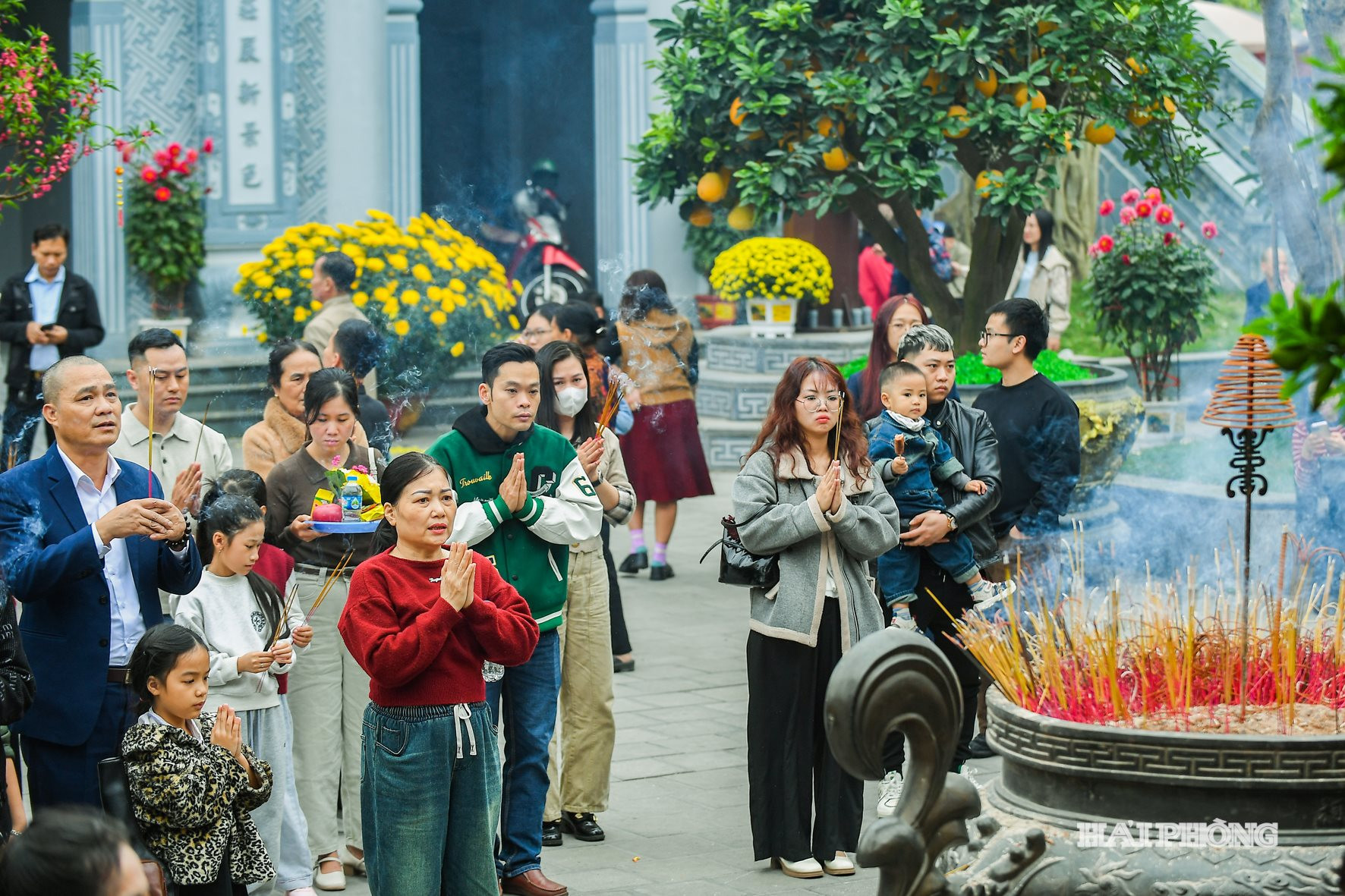 dentranh2026 (2)