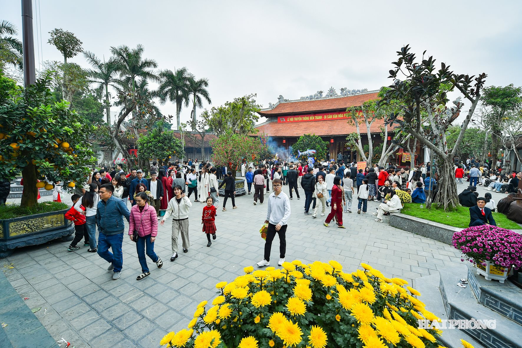 dentranh2026 (3)