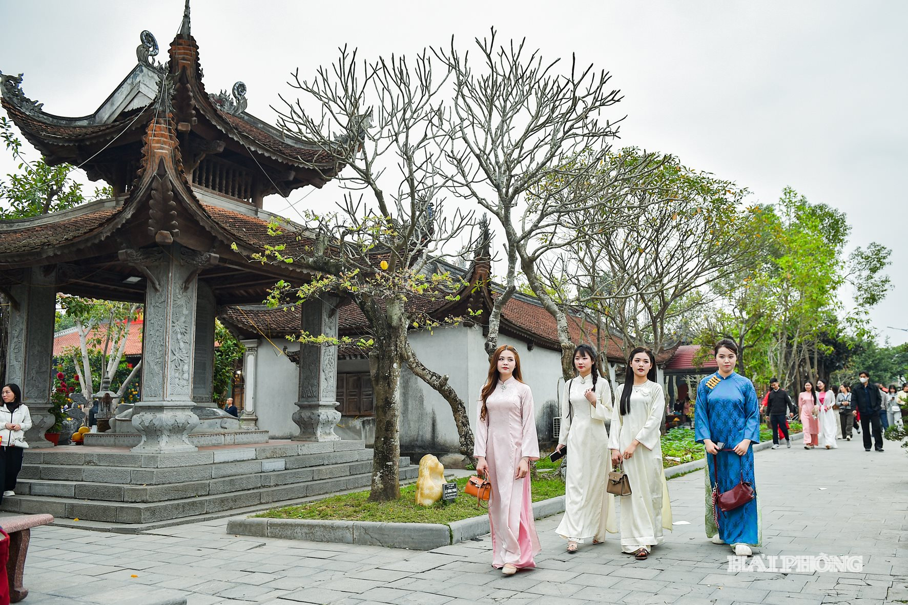 dentranh2026 (6)