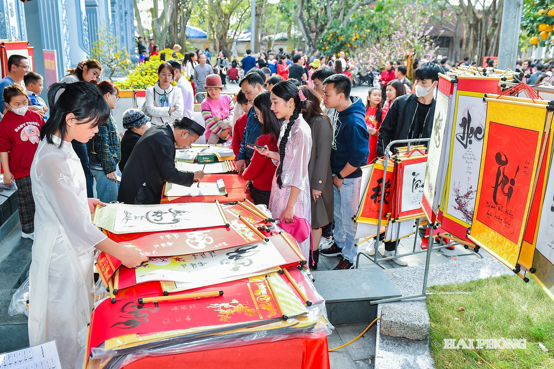 dentranh2026 (8)