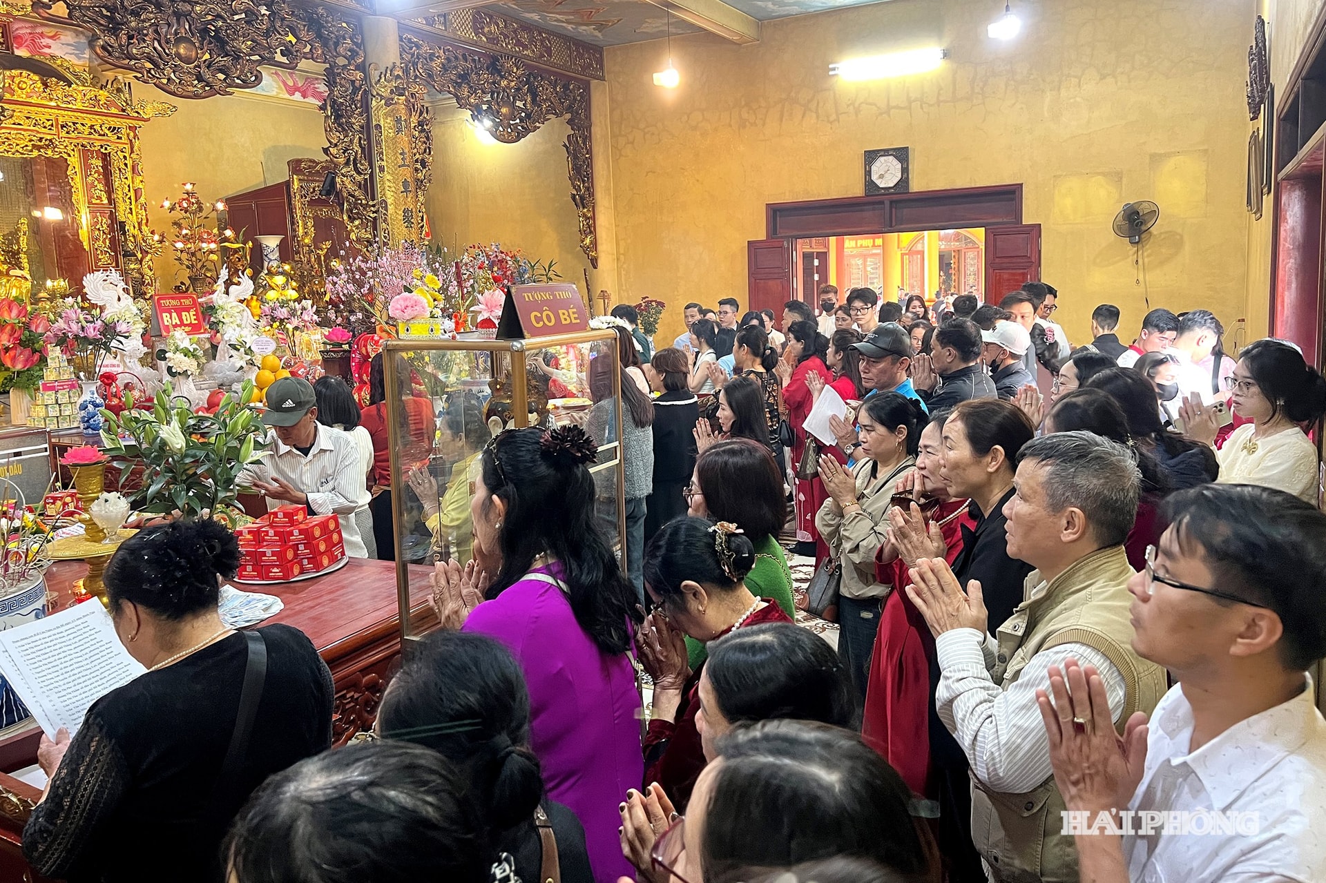 voyage au printemps 2