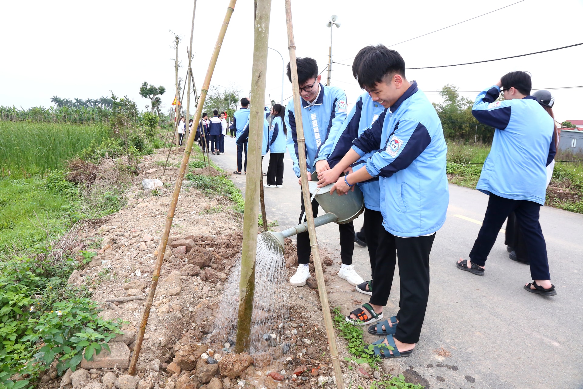 Đông đảo người dân và các lực lượng xã An Hưng tham gia trồng cây