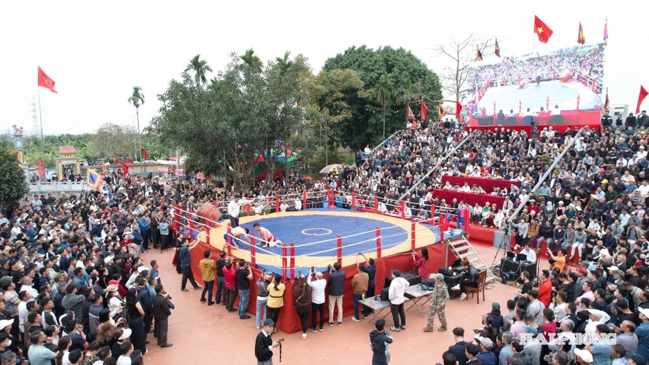Een groot aantal toeschouwers en toeristen bezocht het worstelfestival van Vinh Khe in het voorjaar van het Jaar van het Paard (2026).