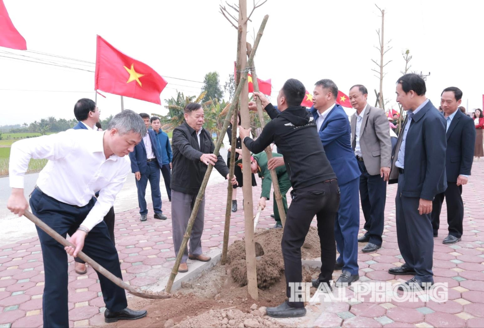 kim-thanh-trong-cay(1).jpg