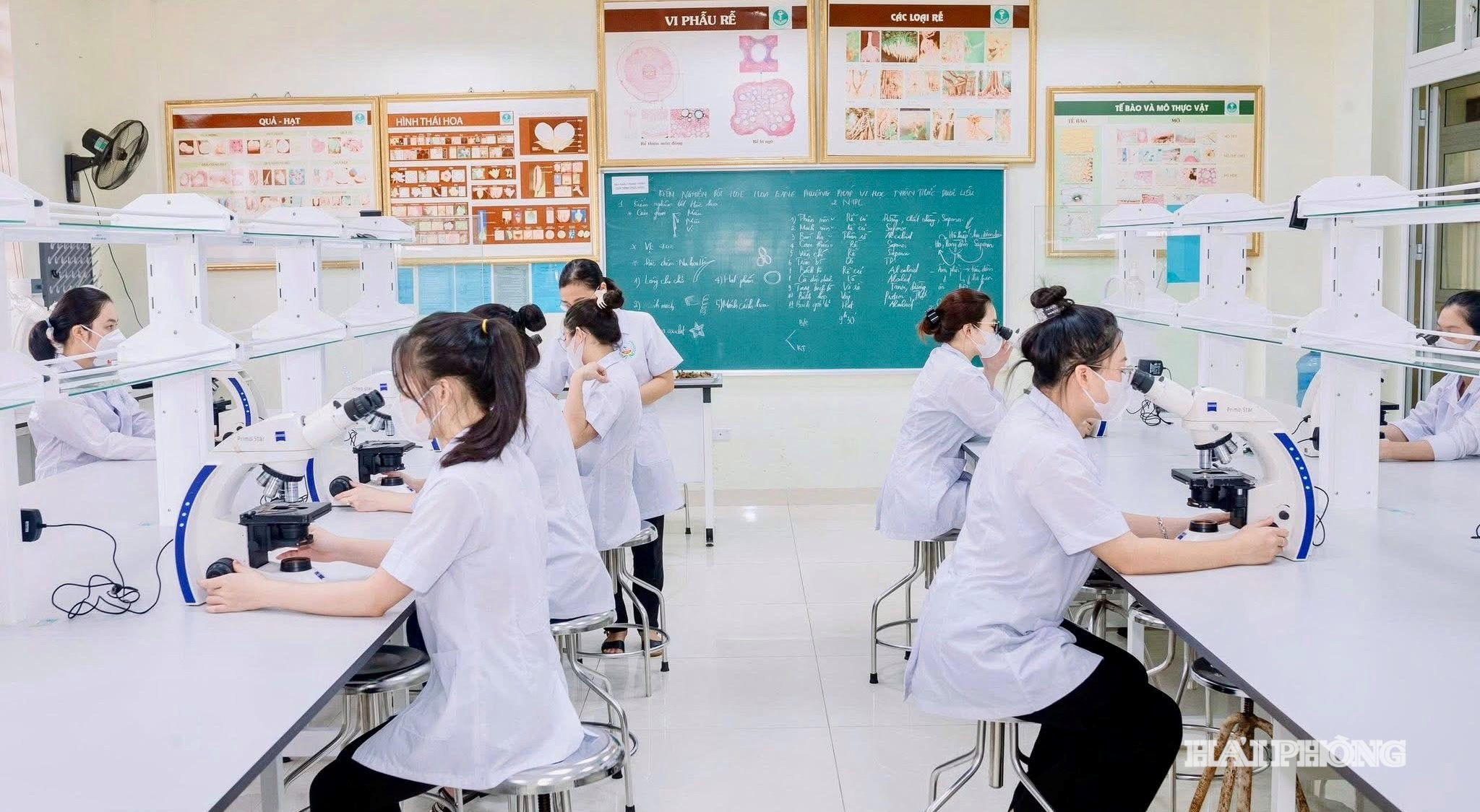 cao dang Dược Trung ương Hải Dương