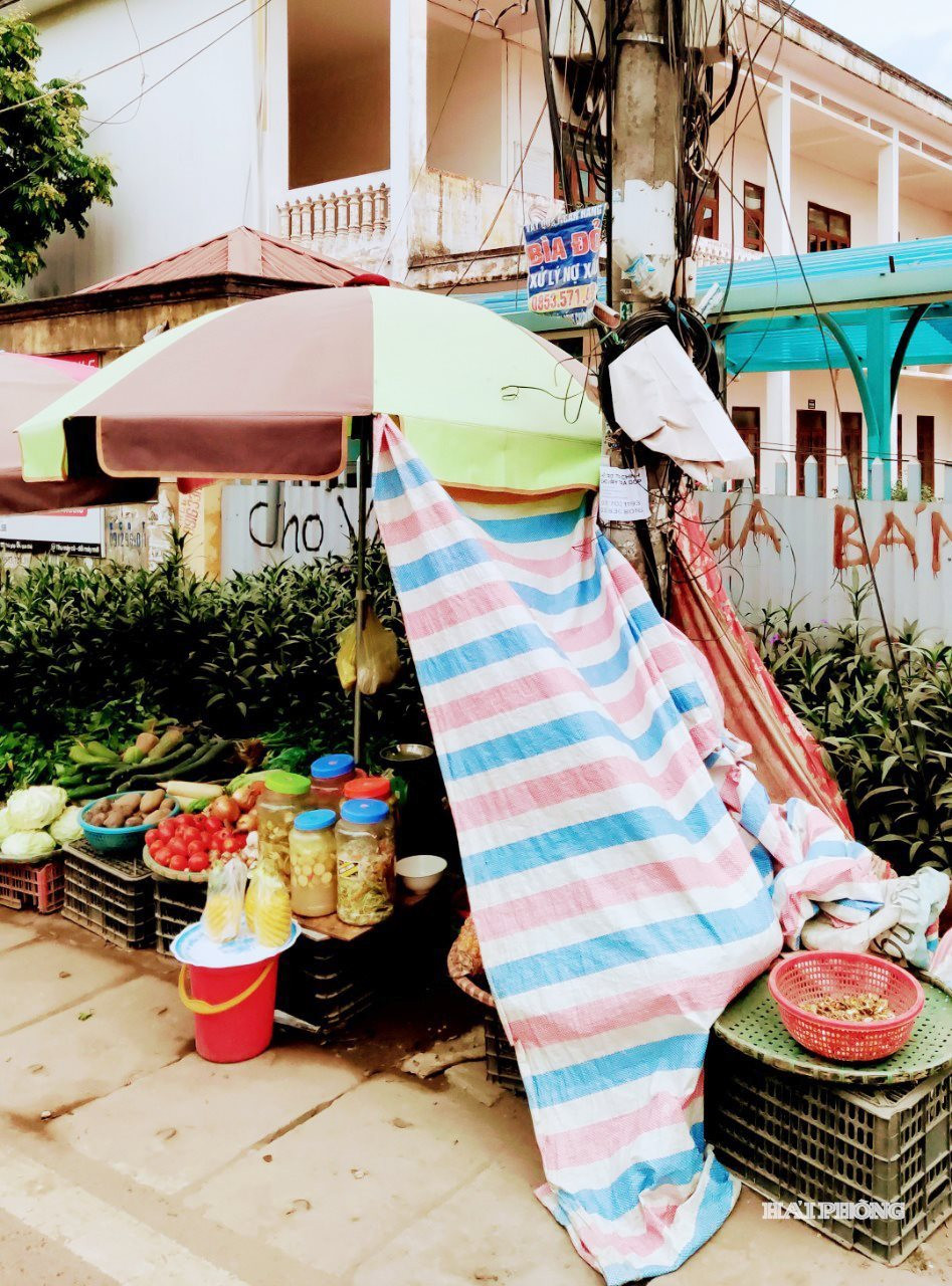 hoang-dong.jpg