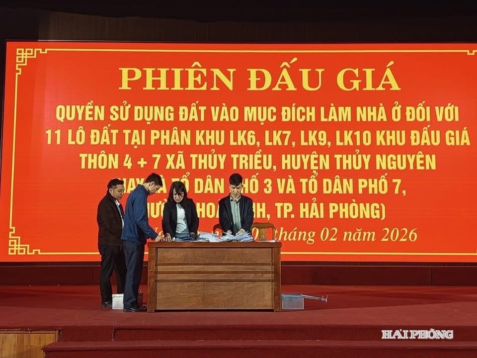 dau-gia-1.jpg