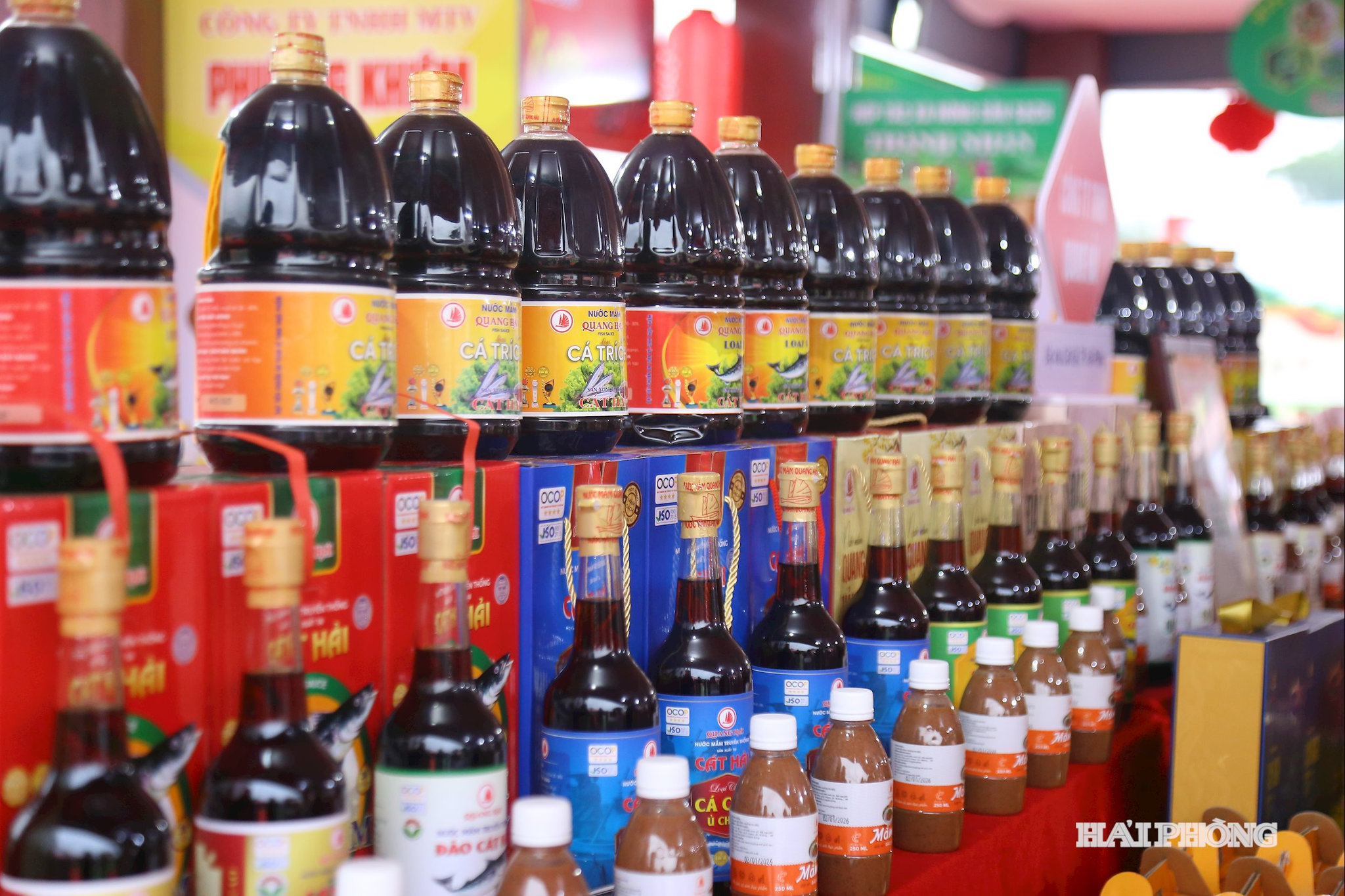 xuc-tien-thuong-mai9.jpg