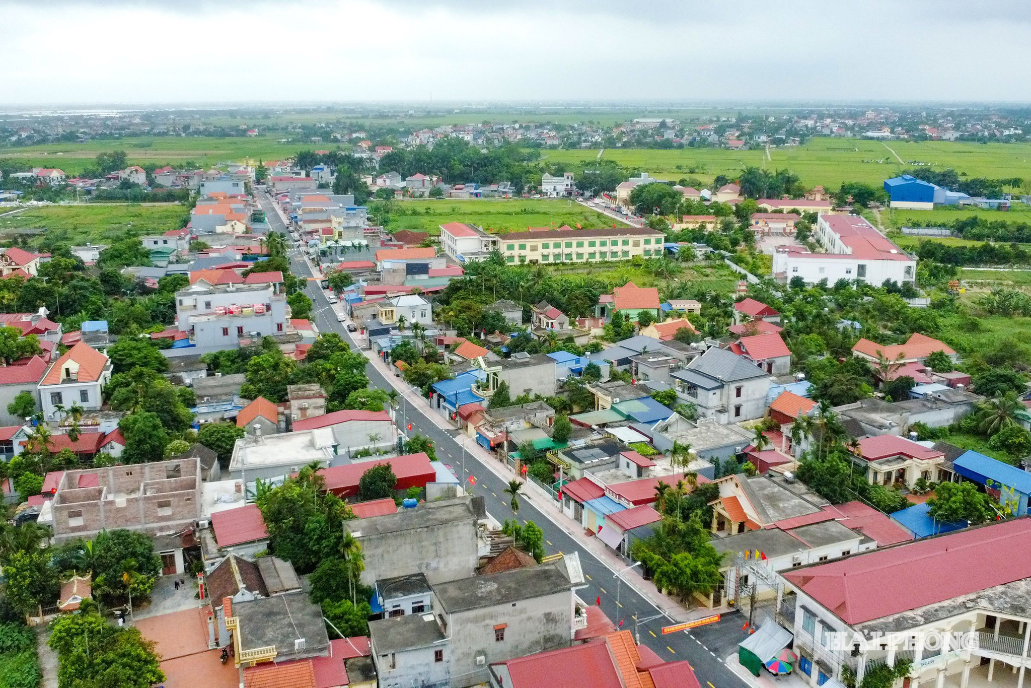 chuan bi bau cu24