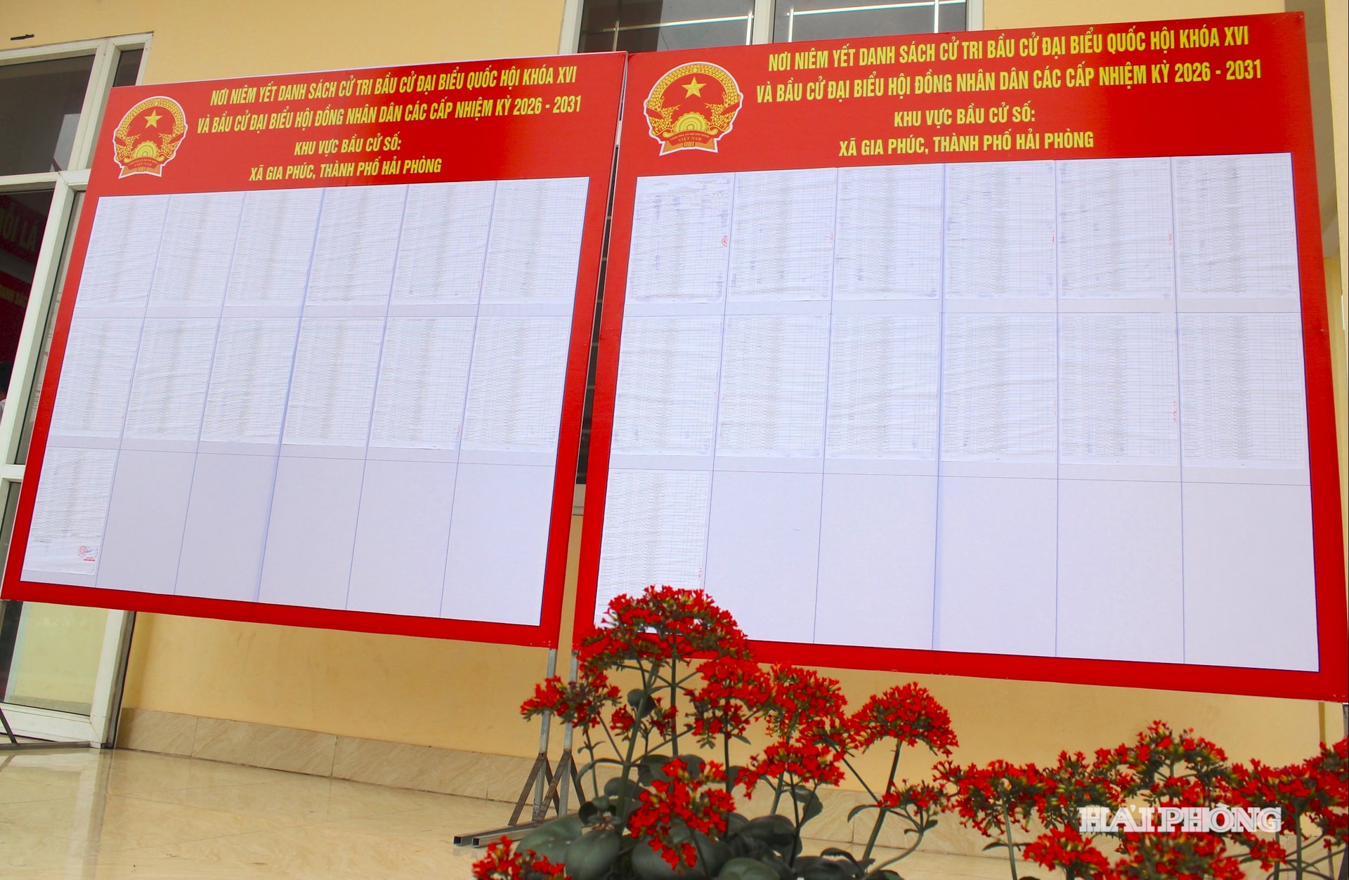 cu-tri-gia-phuc.jpg