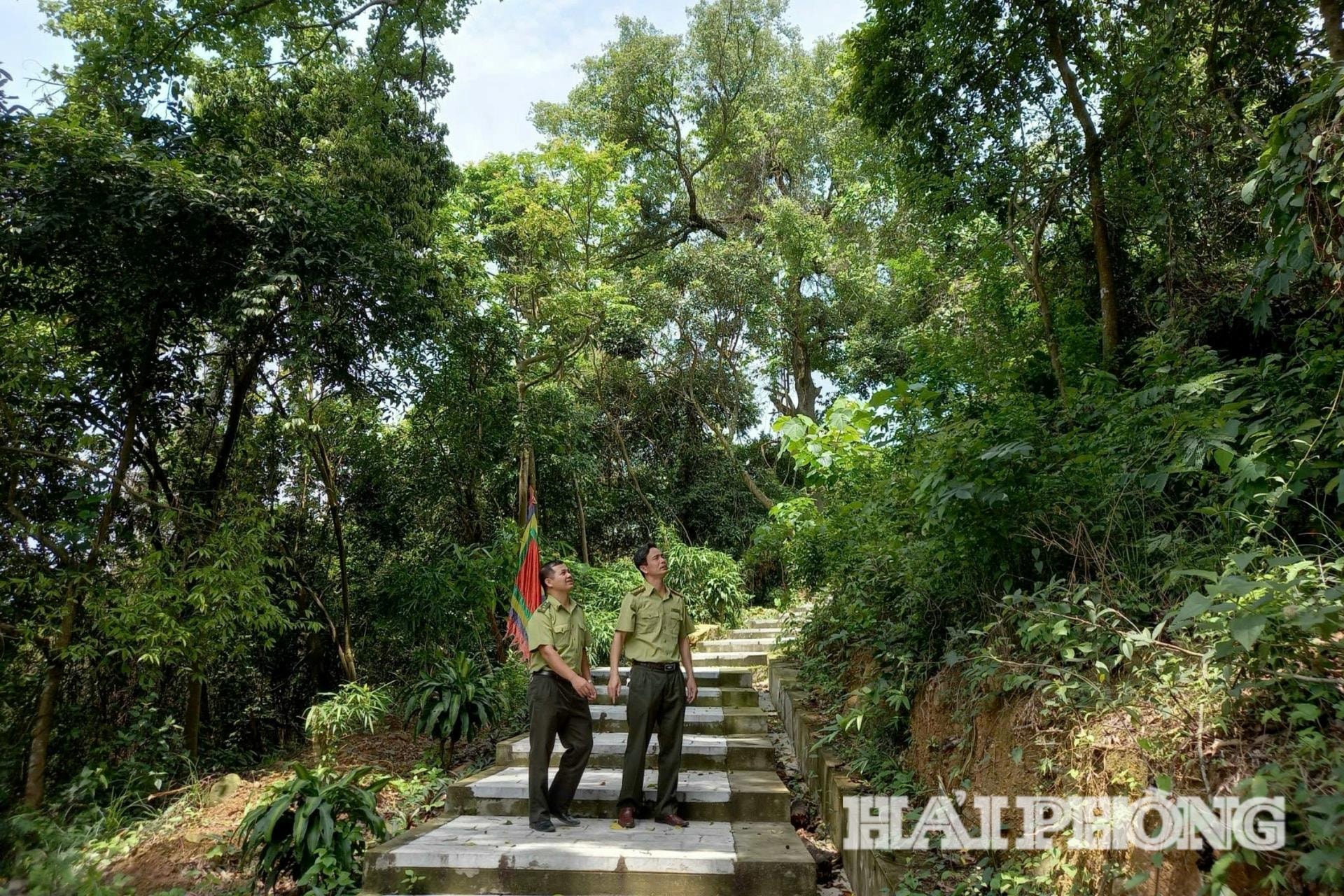 che-phu-rung(1).jpg