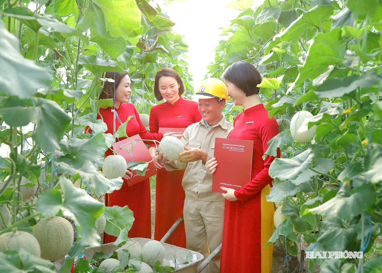 agribank-hai-phong-2.jpg
