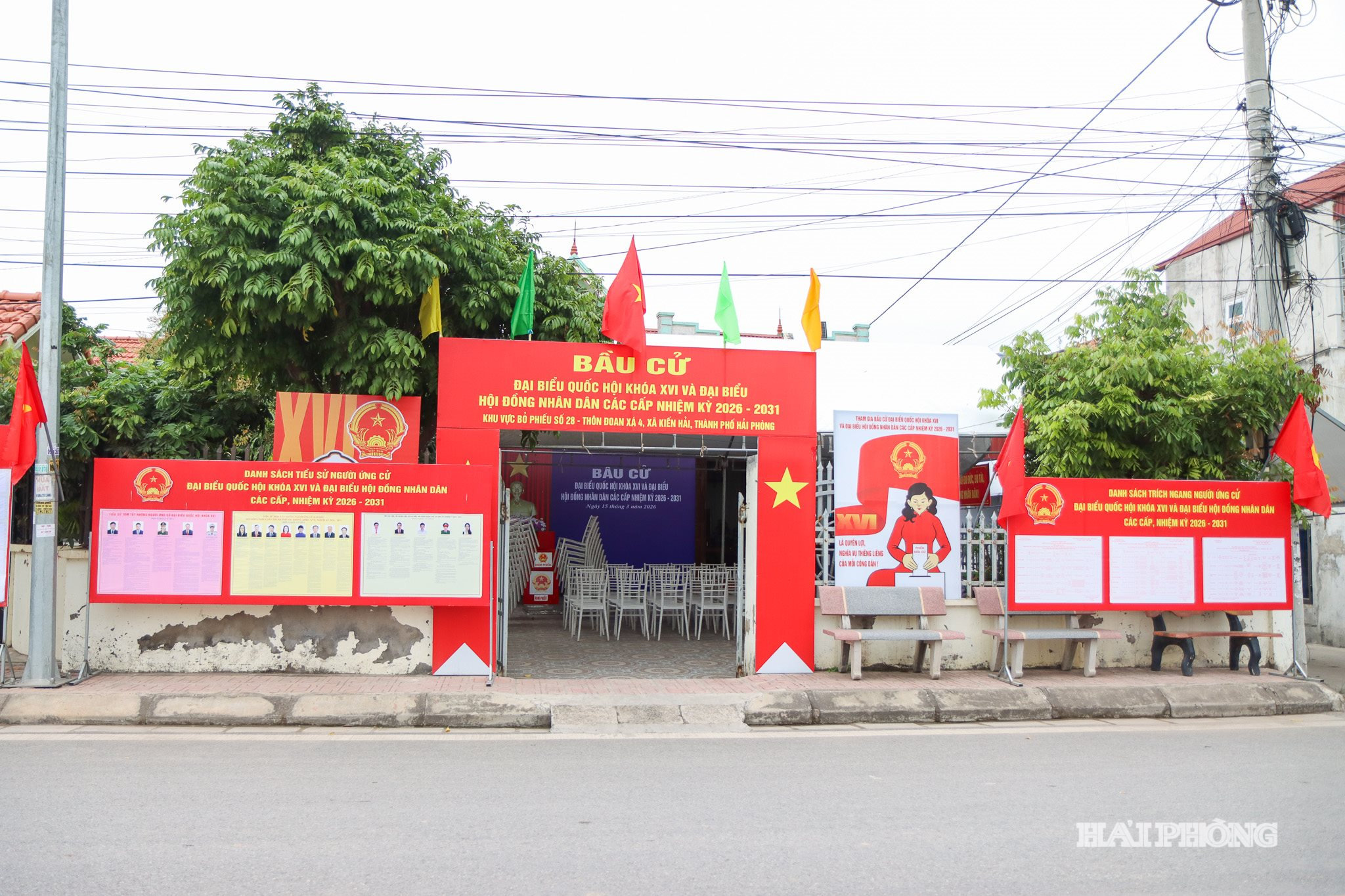 bau-cu-kien-hai-9.jpg