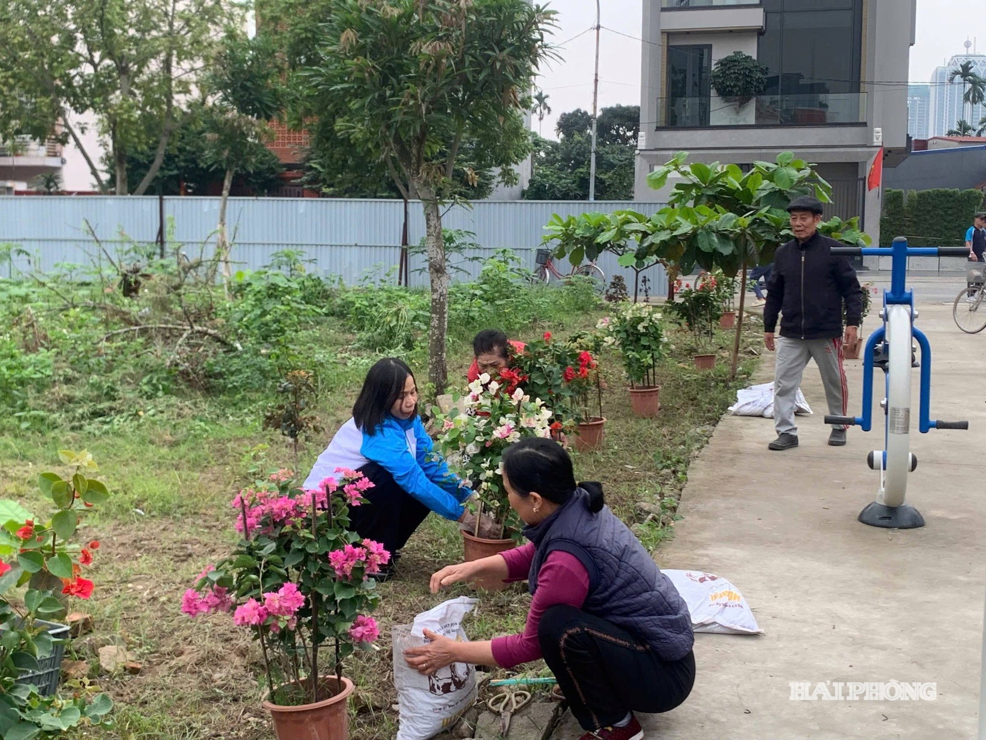 ngo-quyen-22.jpg