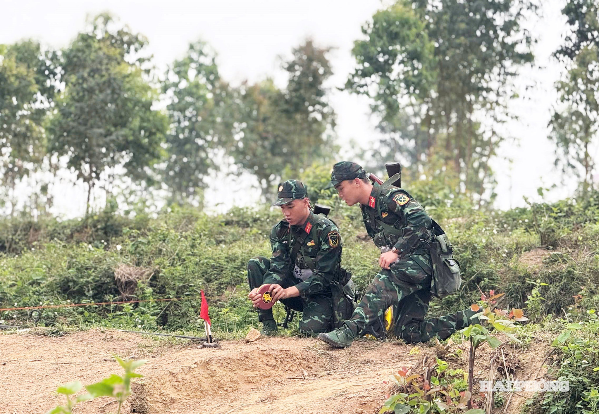 tham-gia-thi.jpg