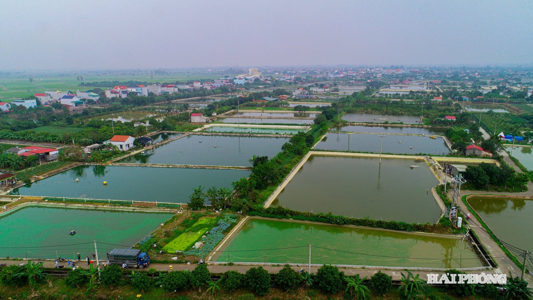 ធូយសាន់ (1)