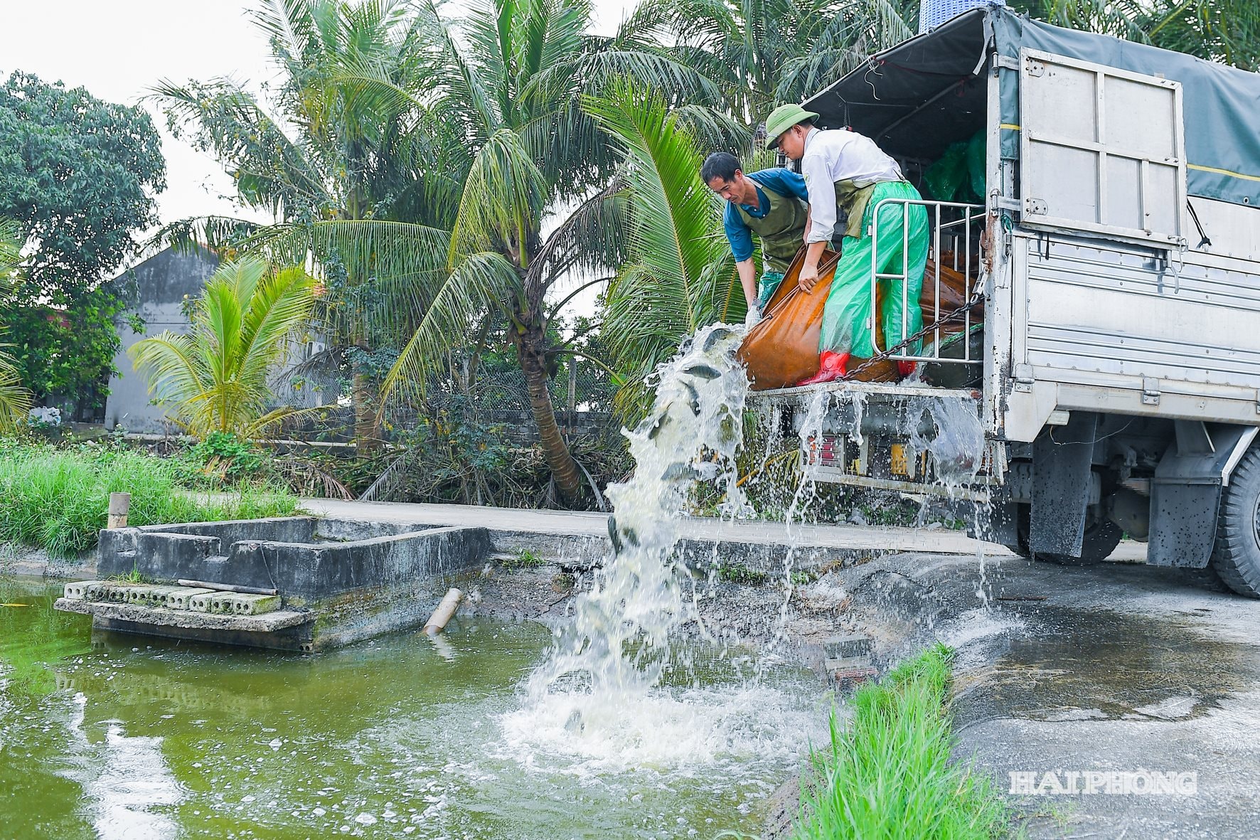 ធូយសាន់ (2)