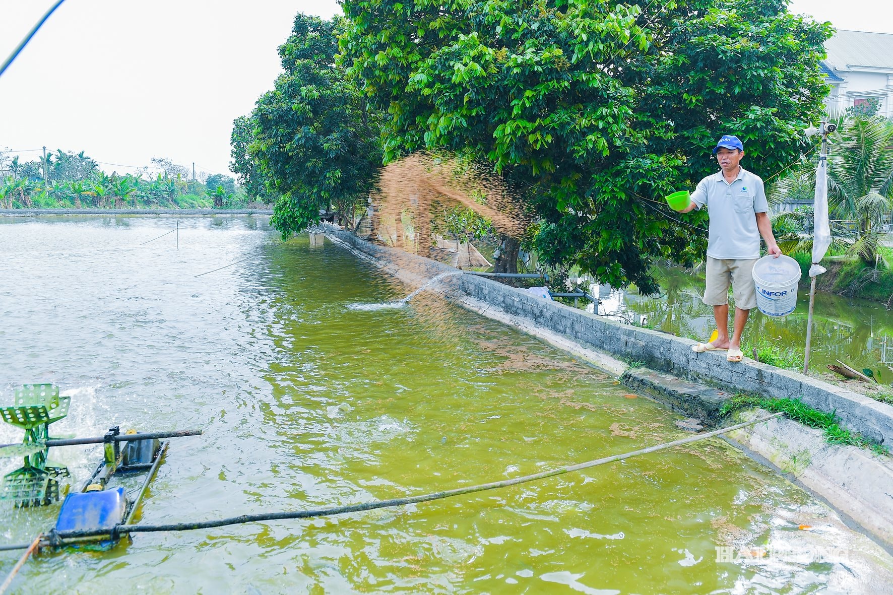 ធូយសាន់ (3)