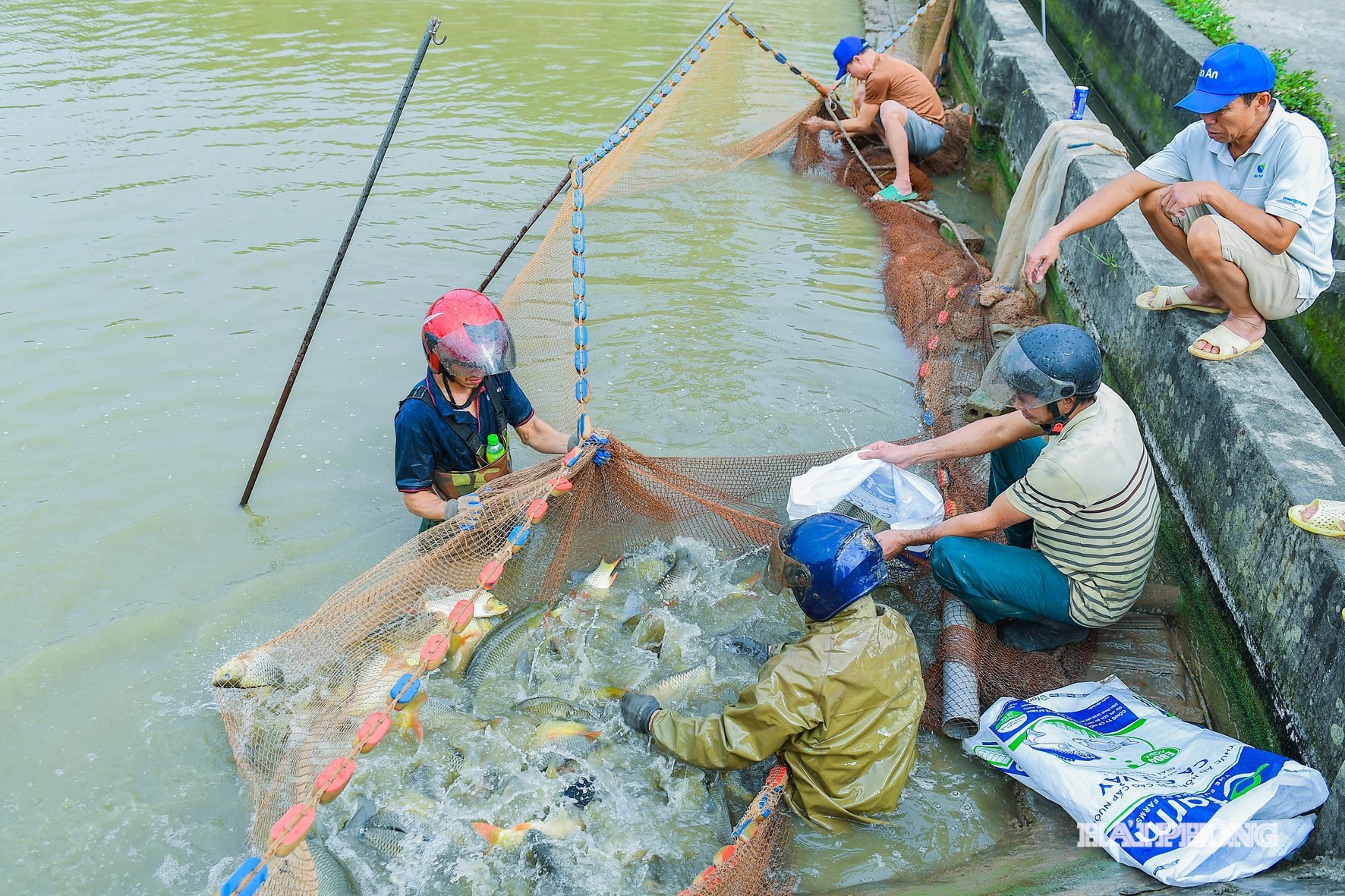 ធូយសាន់ (4)