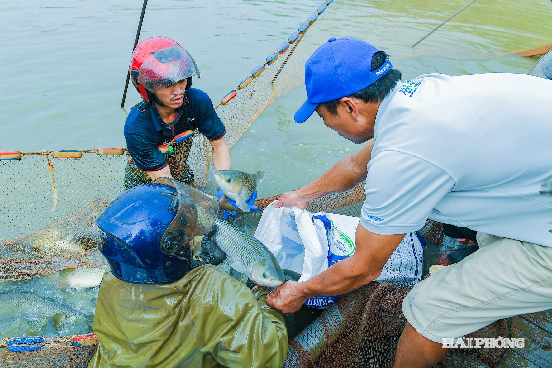 ធូយសាន់ (6)