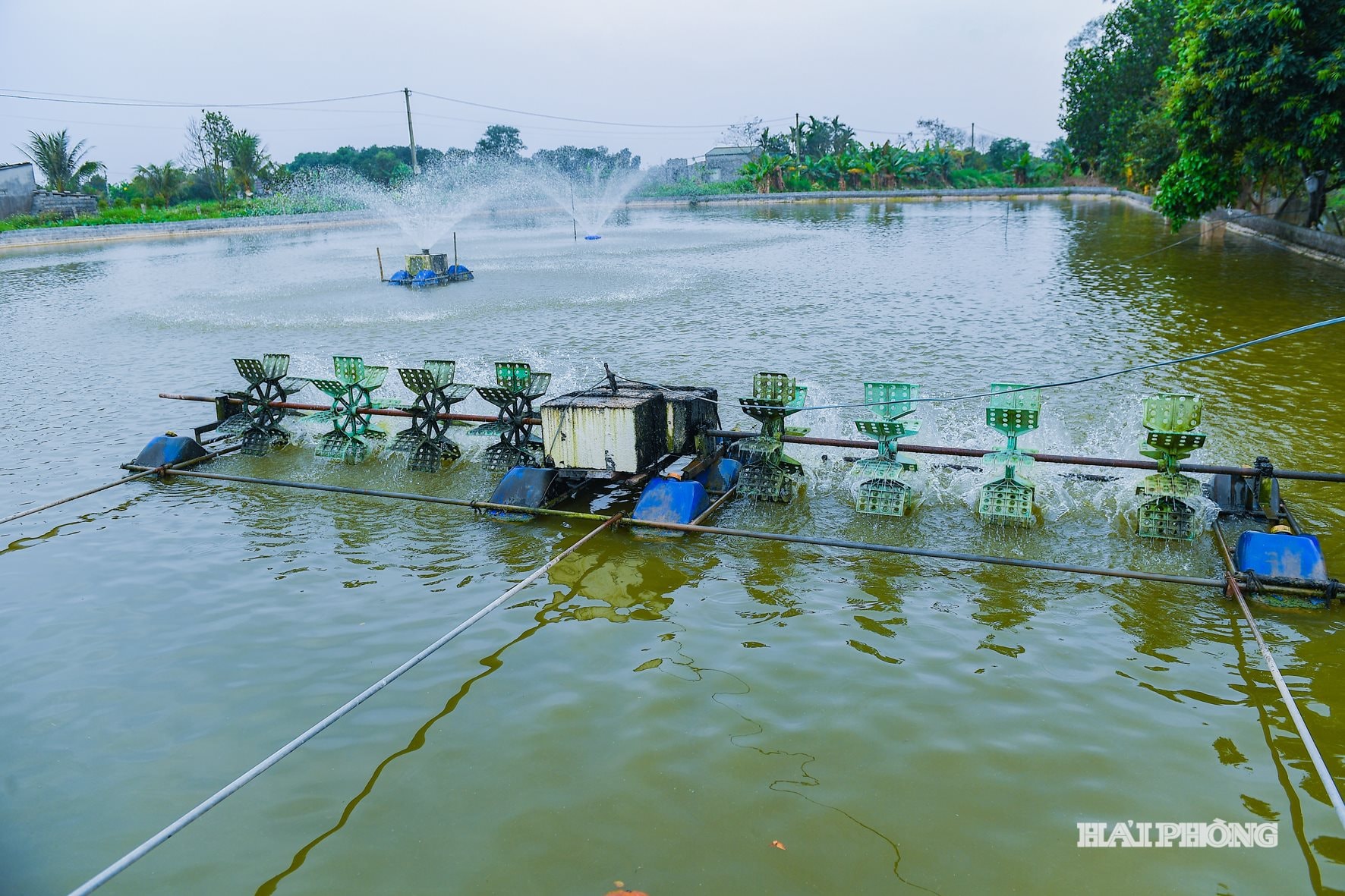 ធូយសាន់ (8)