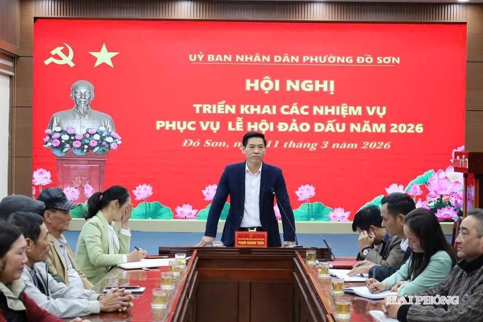 dao-dau-le-hoi.jpg