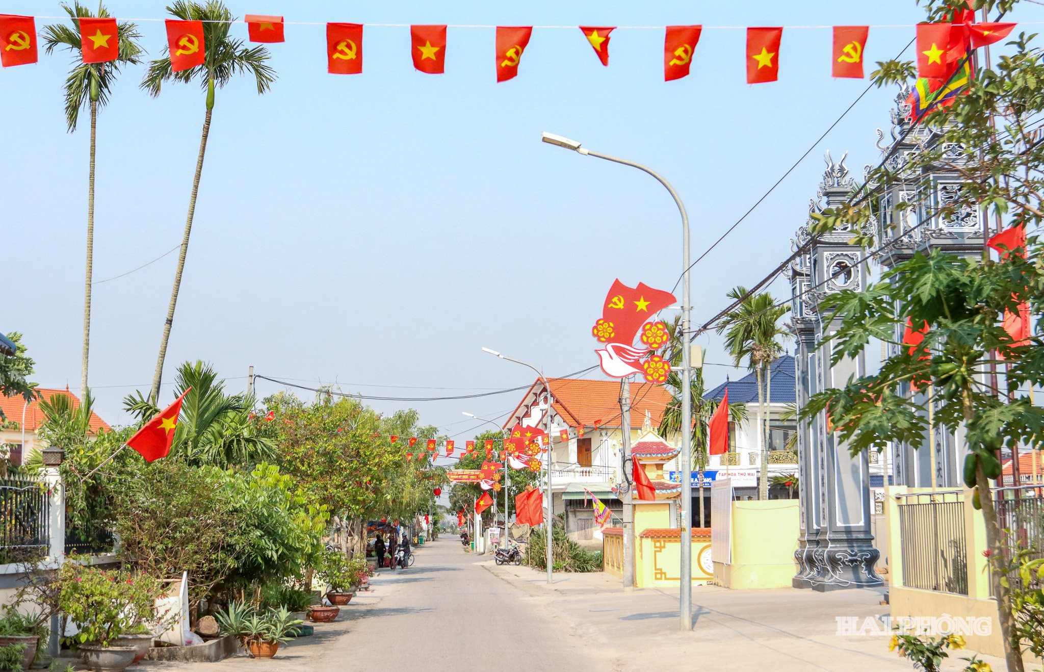 bau-cu-kien-hung-6.jpg