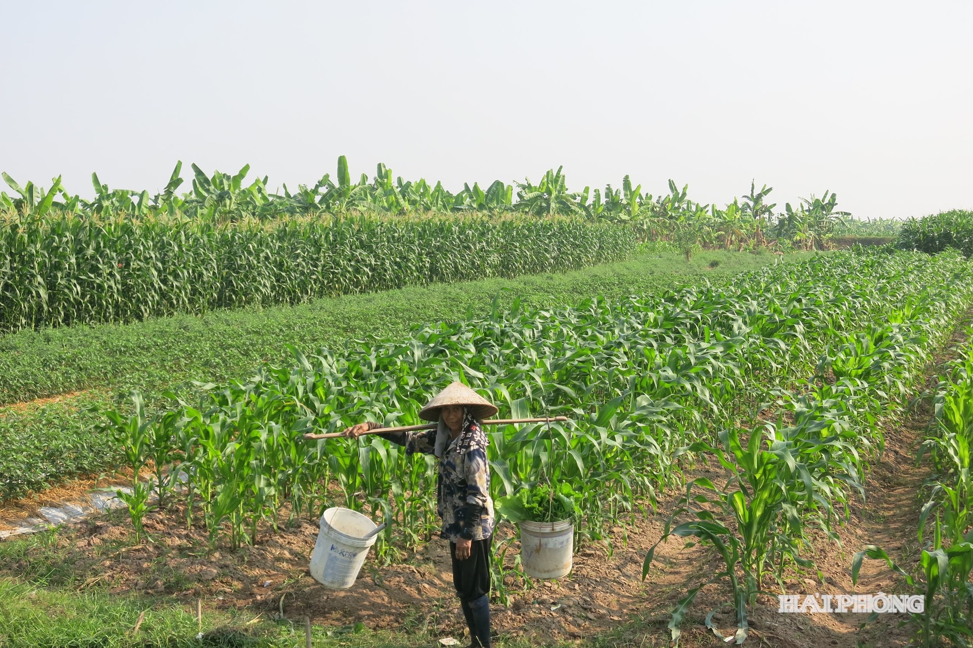vinh-thinh.jpg