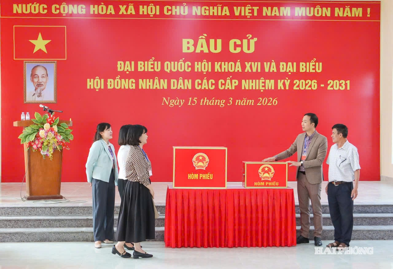hai phong bau cu