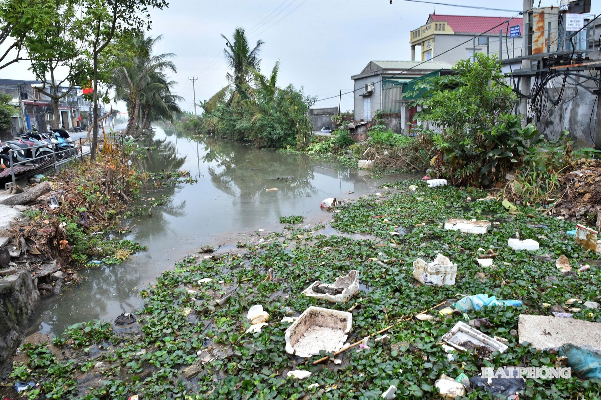 L'acqua superficiale inquinata si infiltra nel terreno, causando un deterioramento della qualità delle acque sotterranee.
