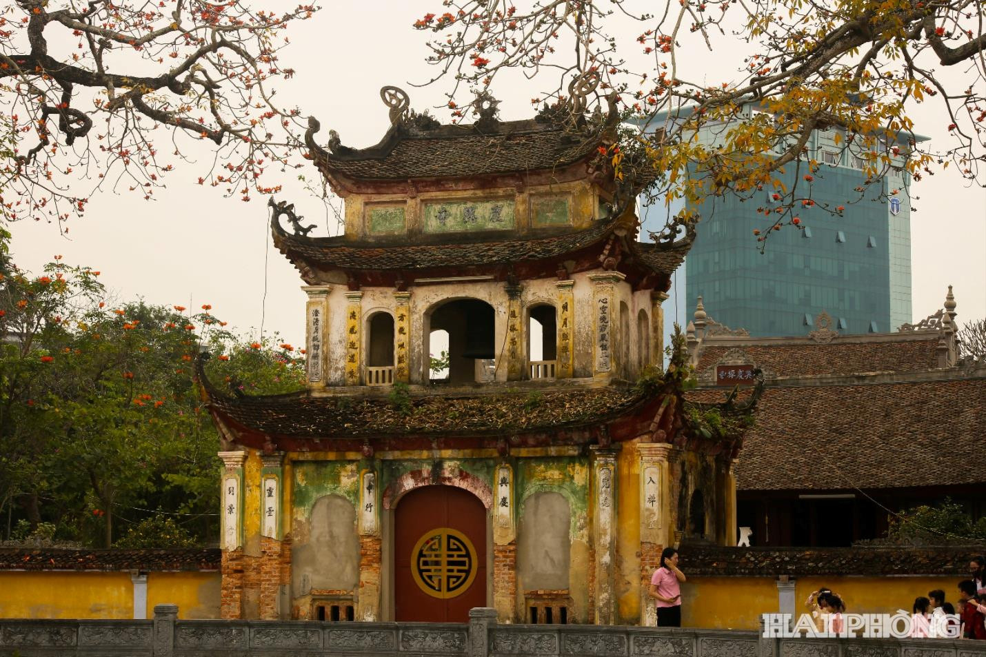hoa-gao-chua-trung-hanh