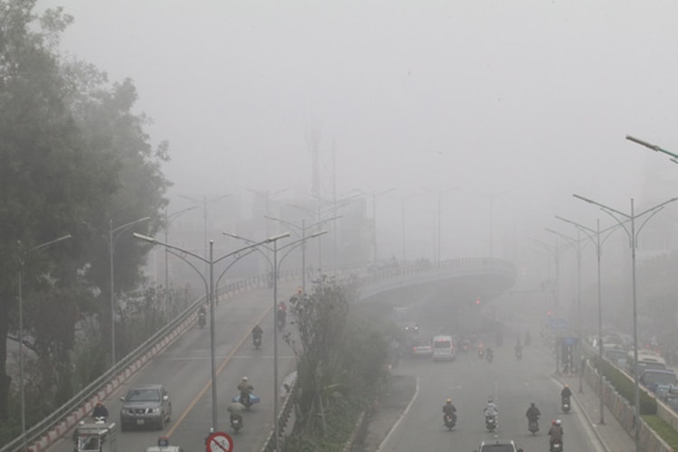 suongmu1.jpg