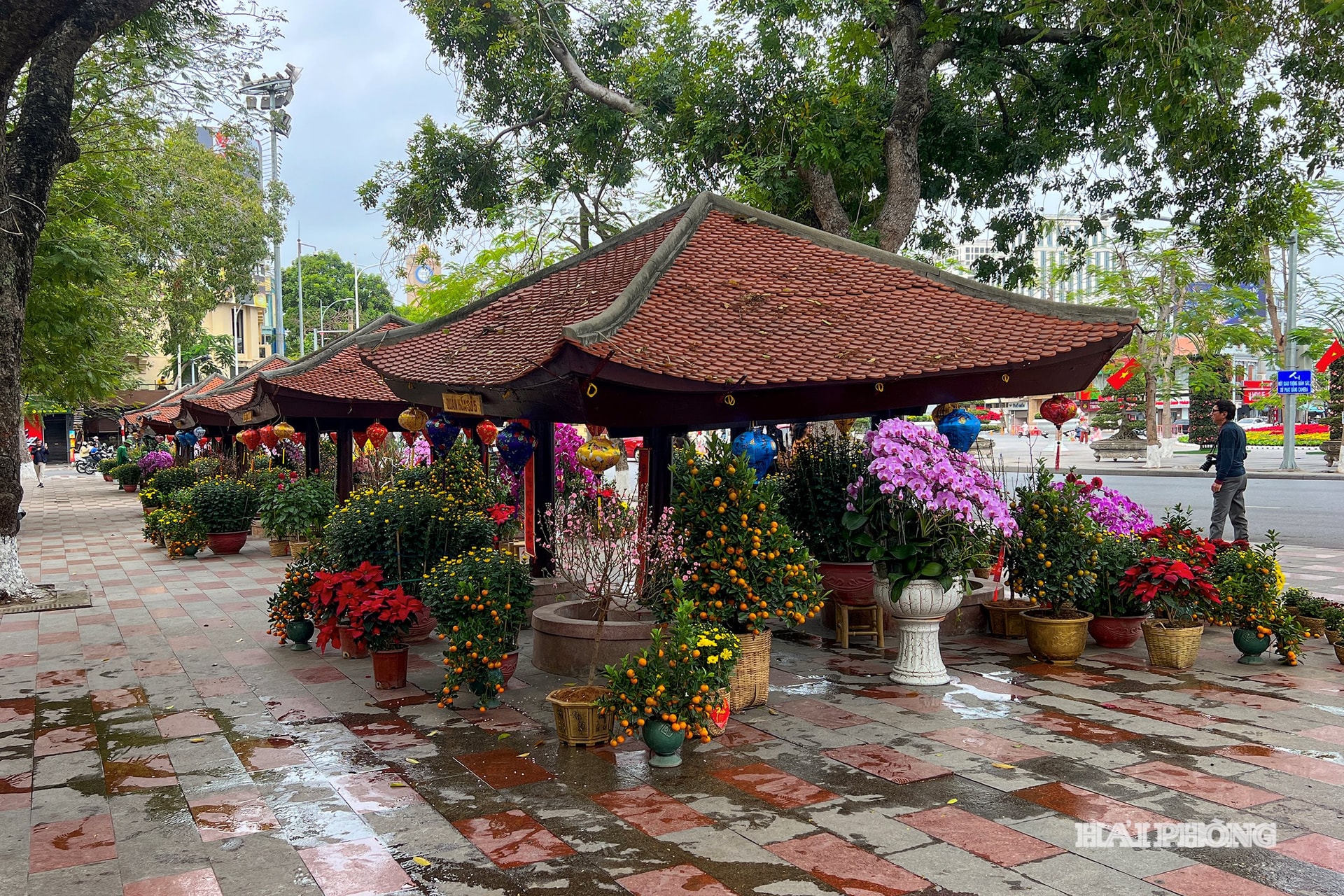 dai trung tam18