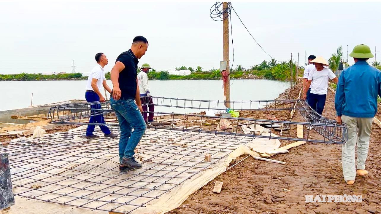dat nong nghiep 1