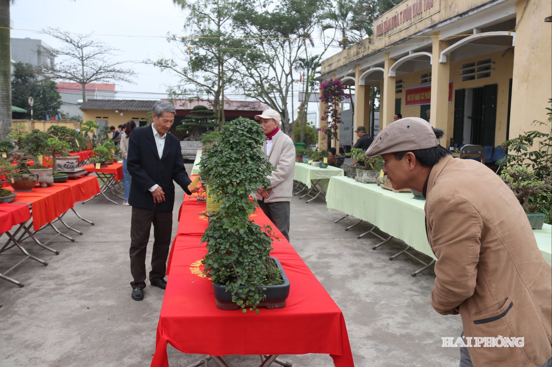 den-ngoc-hoa (1)