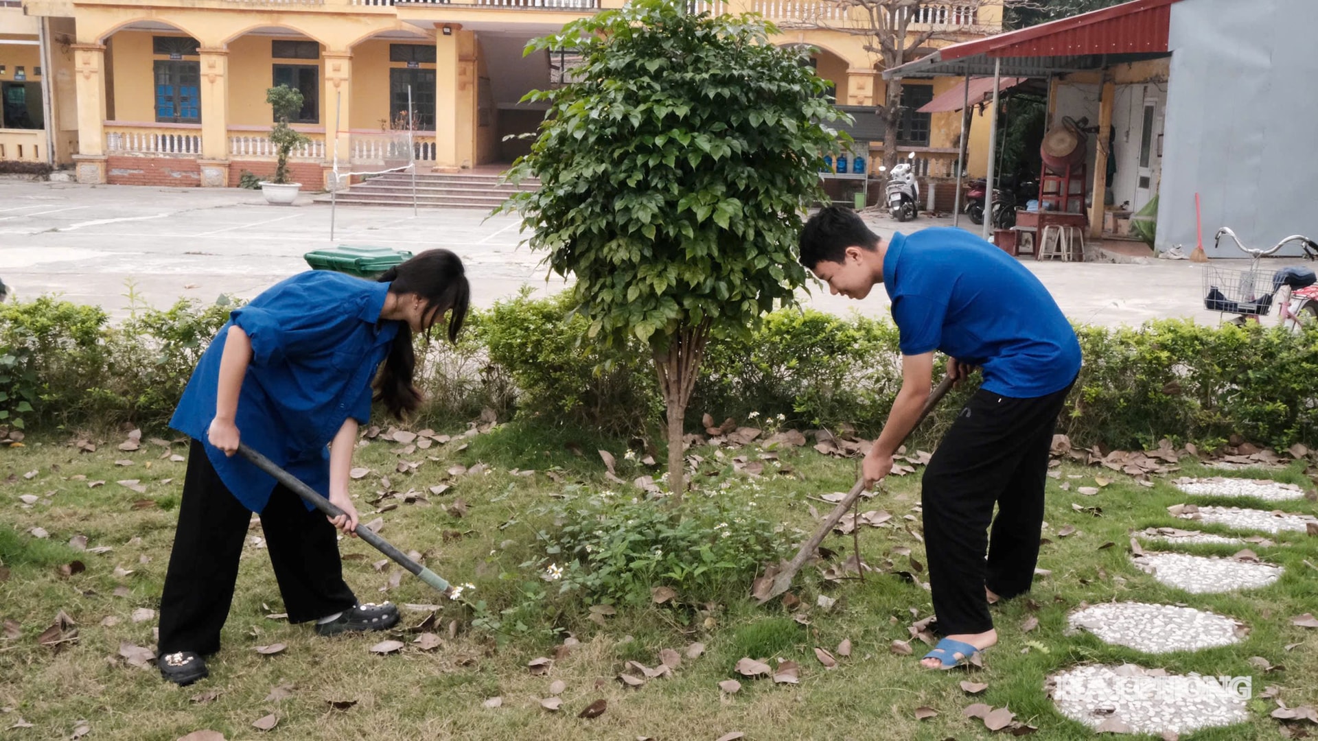 chu-nhat-xanh-6.jpg