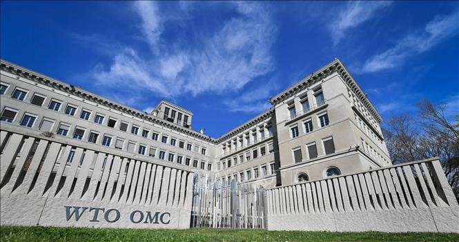 24122024162625wto_271121.jpg