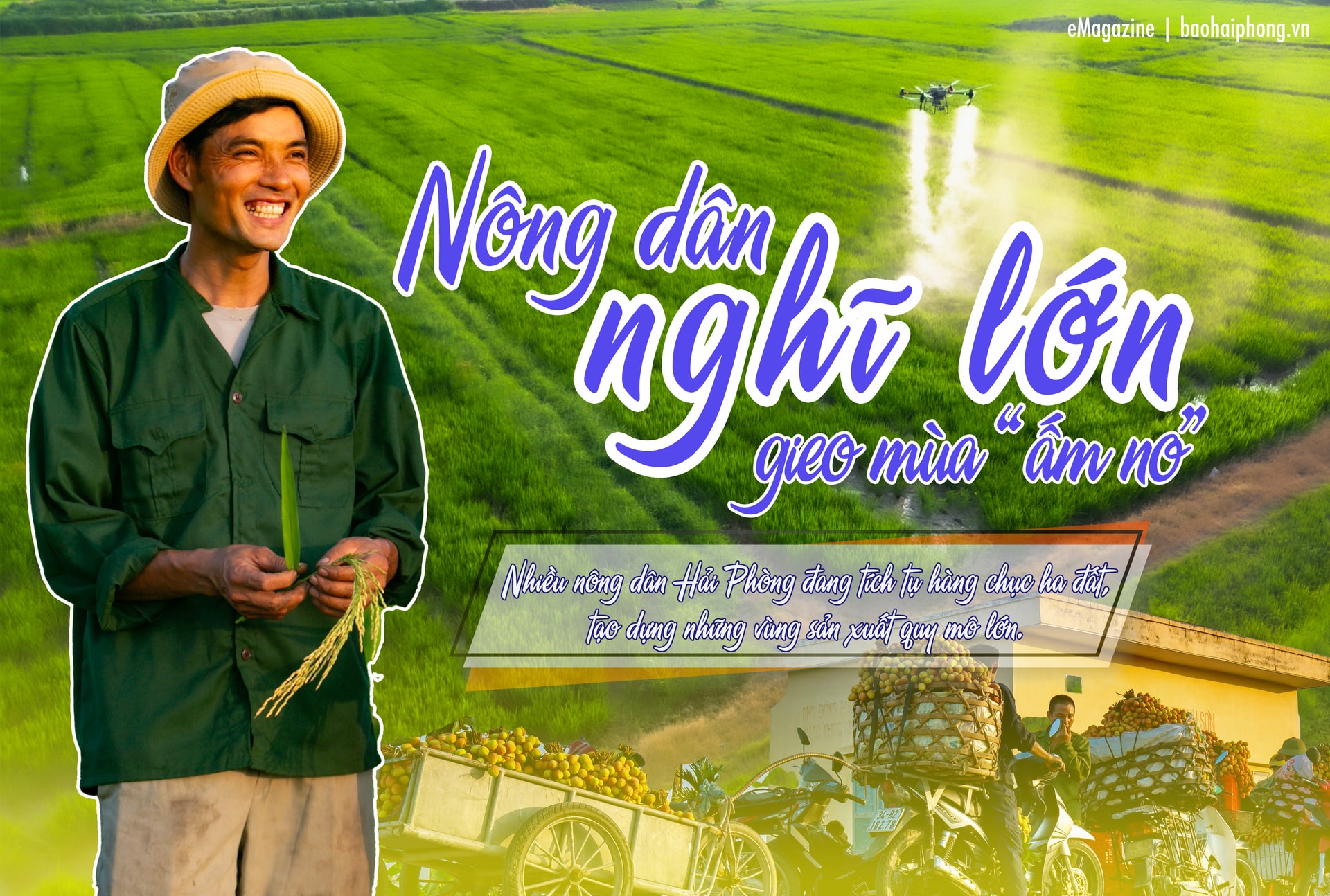 cover sao chép