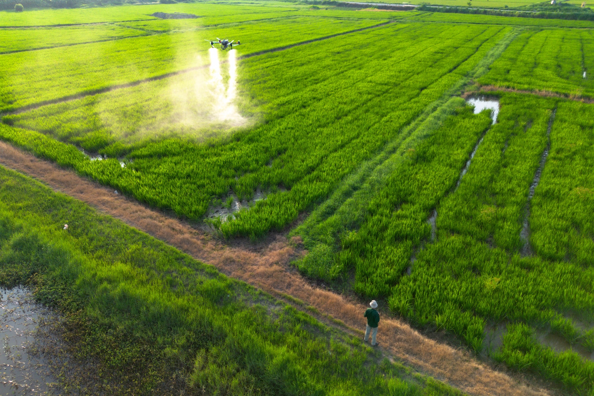dji_0936.jpg
