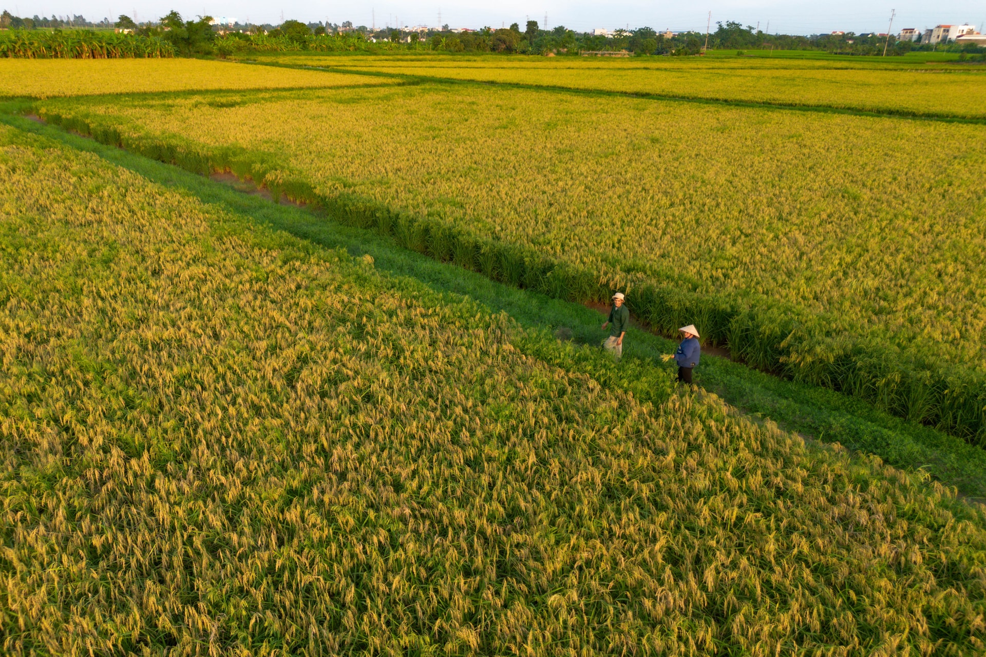 dji_0938.jpg