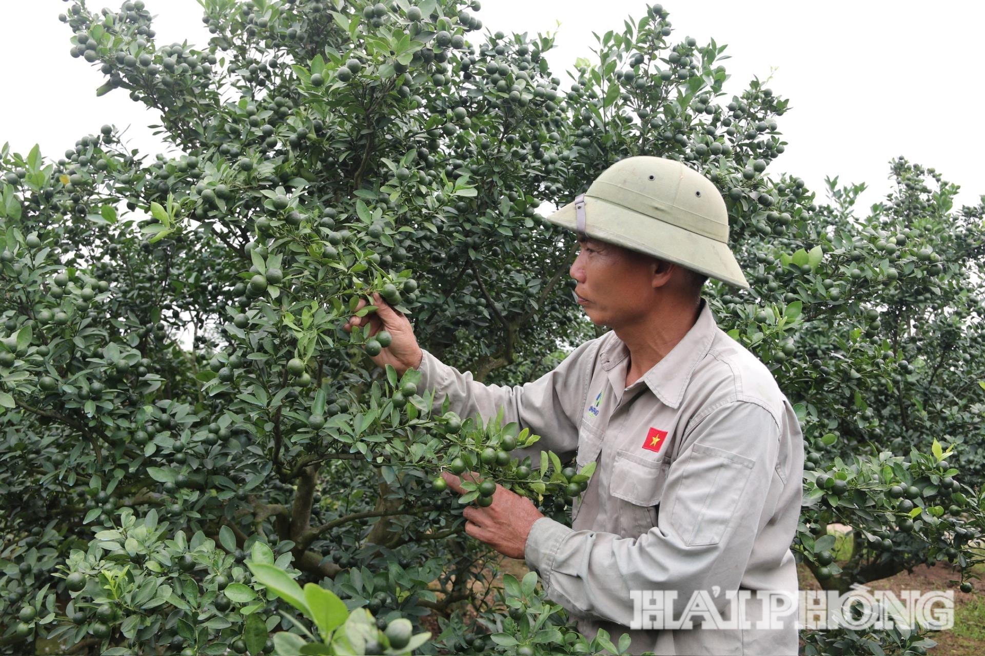canh-tac-quat(1).jpg