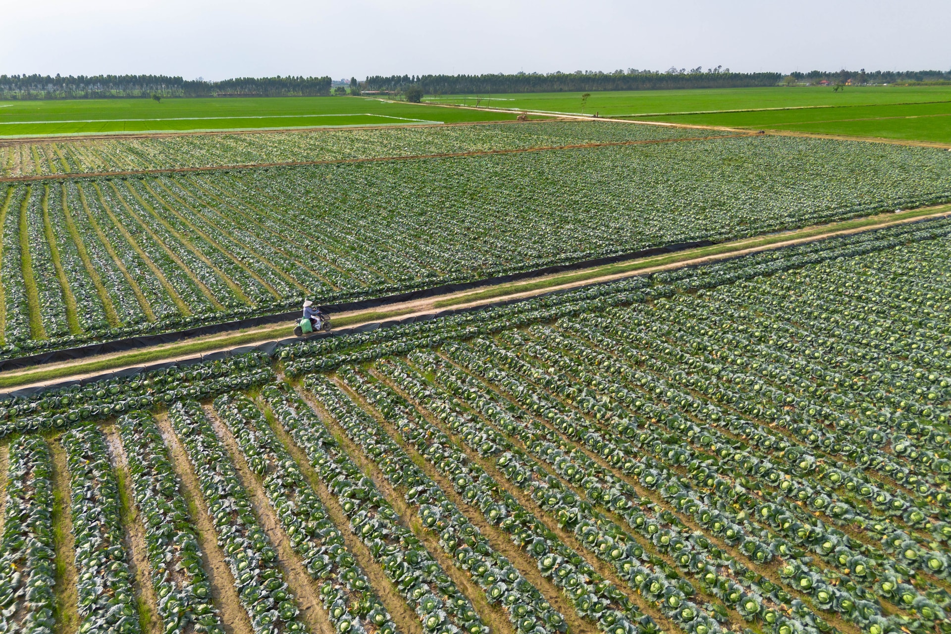 dji_0331.jpg