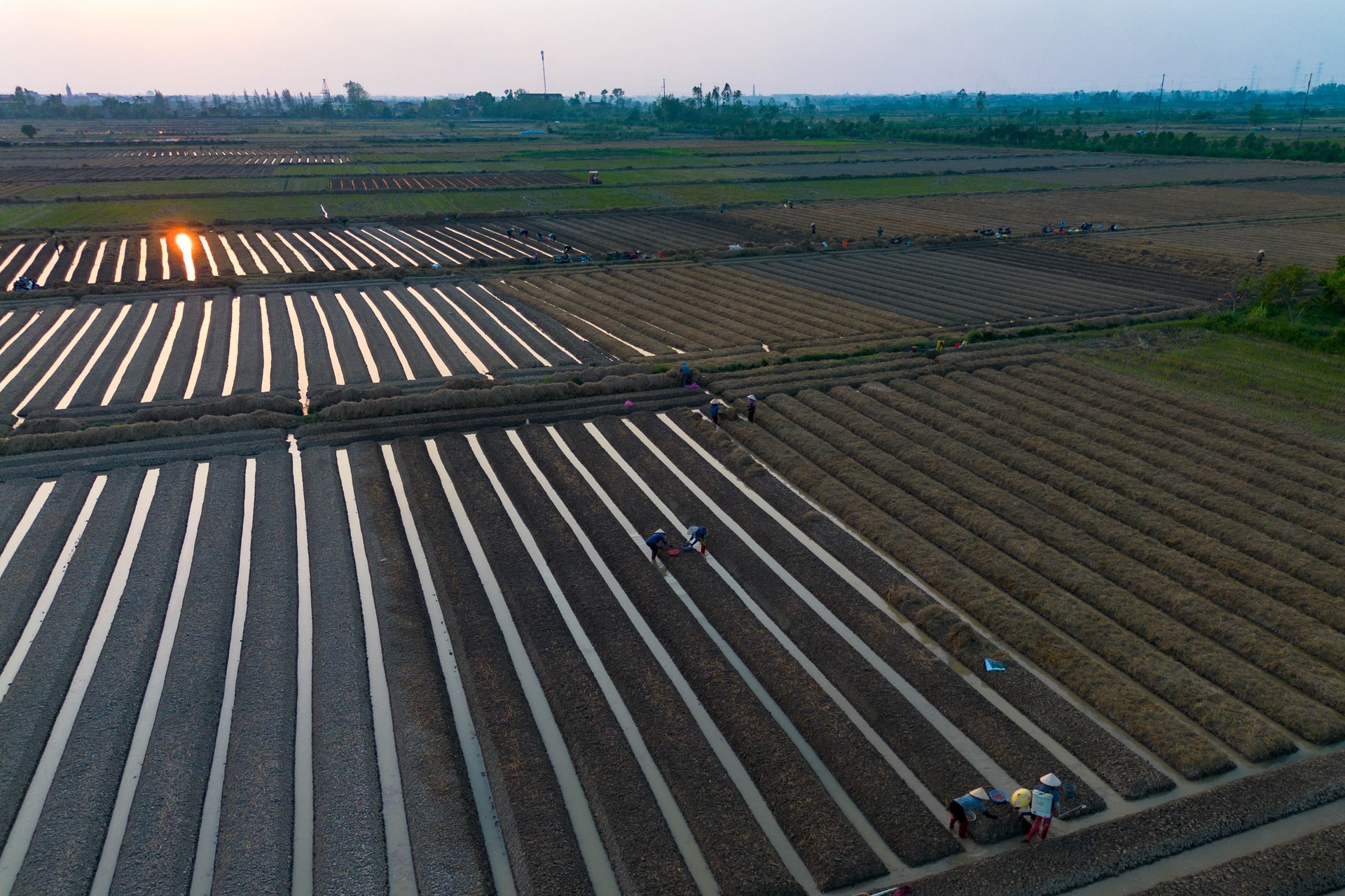 dji_0819.jpg