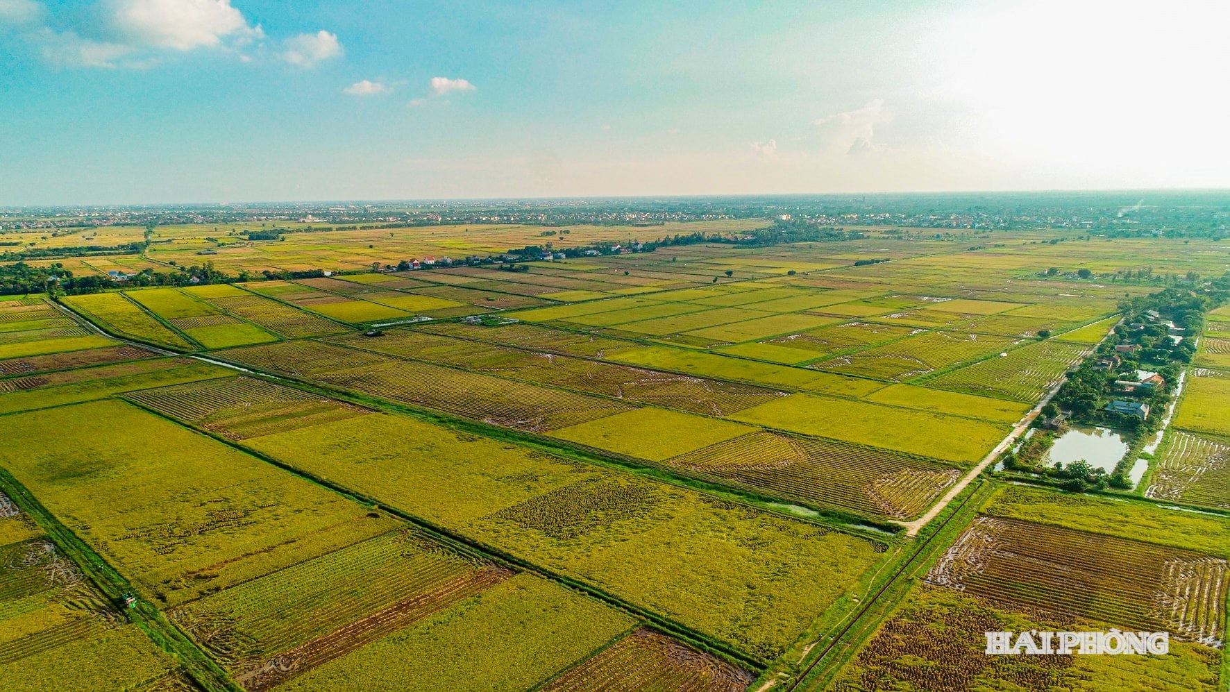 Khu vực xã Hải Hưng