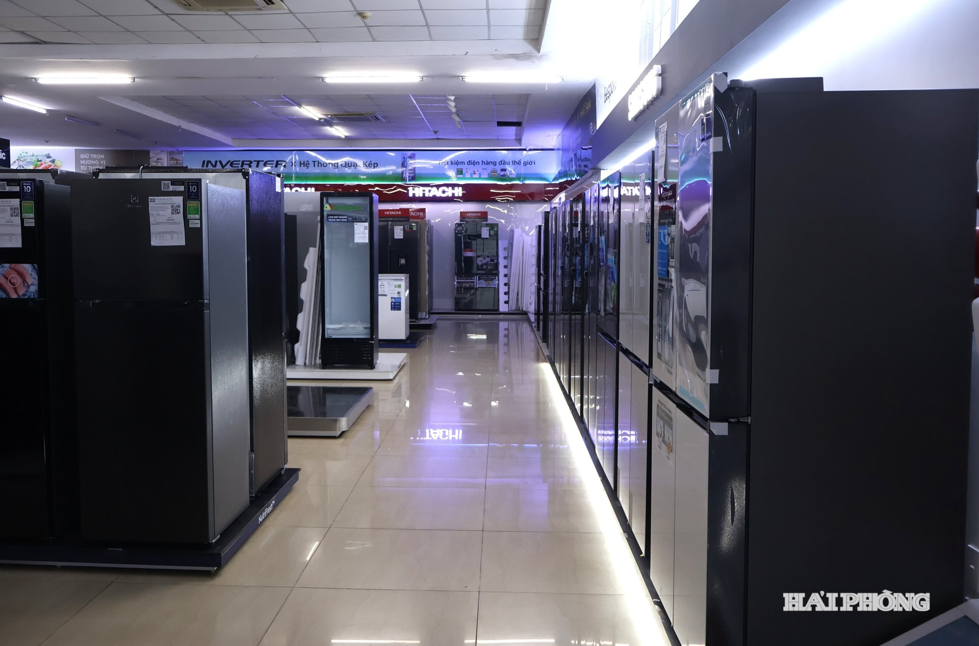 Le aziende che vendono prodotti per la refrigerazione stanno implementando numerosi programmi promozionali interessanti.