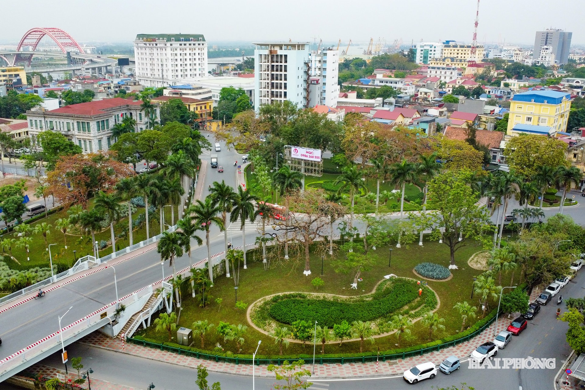 Cây xà cừ Tây Ấn, có tên khoa học Swietenia mahagoni được người Pháp mang sang trồng tại khu vực cầu Lạc Long- Ngân hàng Nhà nước từ cuối thế kỷ 19.